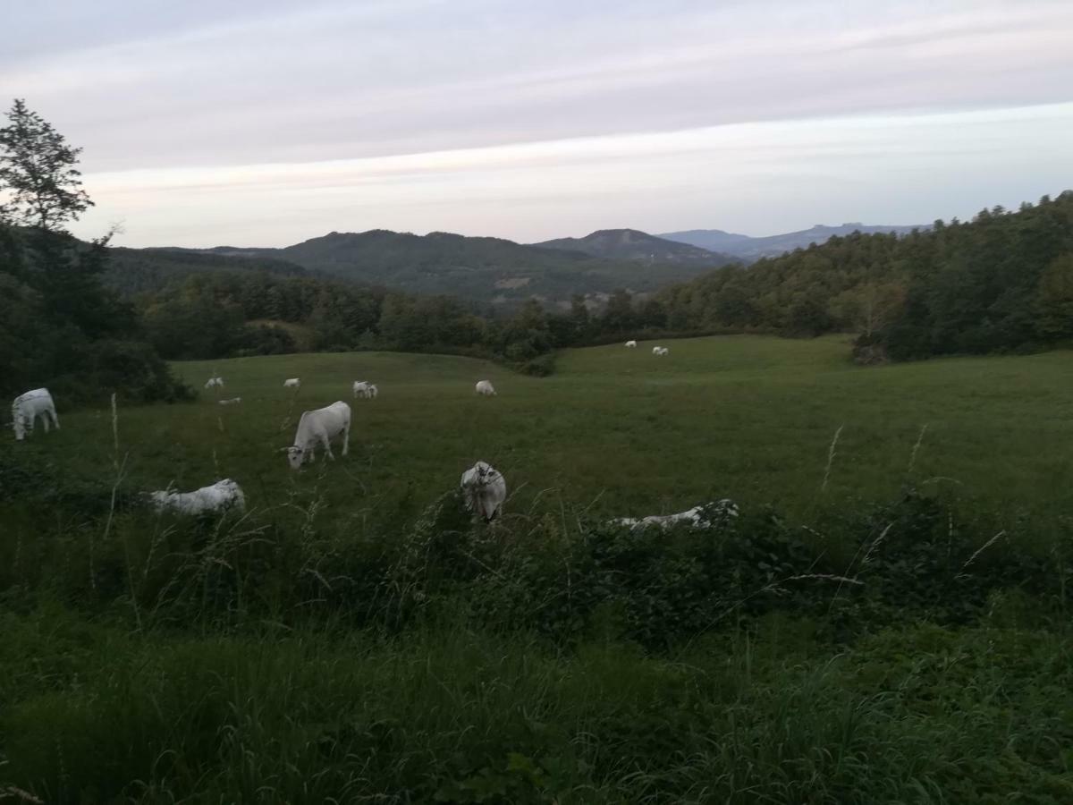 Appartamento Da Santina Pieve Santo Stefano Esterno foto